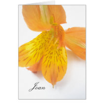 Joan cards by lollypopgirrrl Joan cards