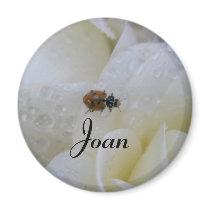 Joan magnets