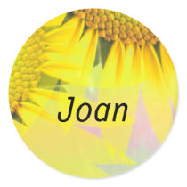 Joan stickers