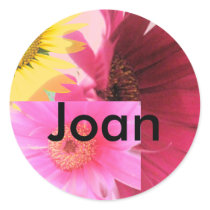 Joan stickers
