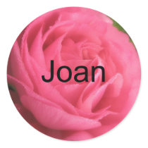 Joan stickers