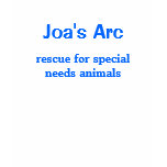 Joa's Arc Logo Shirt