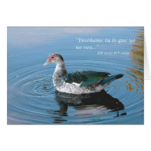 Job 34:32 Carta Greeting Cards