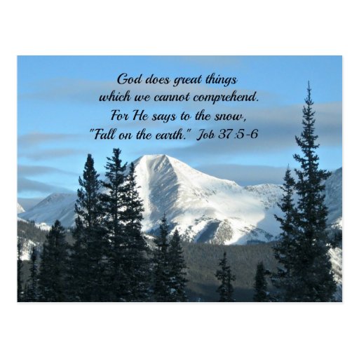 job-37-5-6-postcard-zazzle