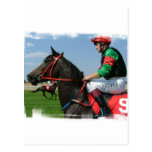 Jockey and Horse Postcard