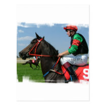 Jockey and Horse Postcard postcards