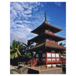 Jodo Mission Near Mala Wharf - Lahaina, Maui flyers