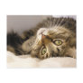 Jody Post Card