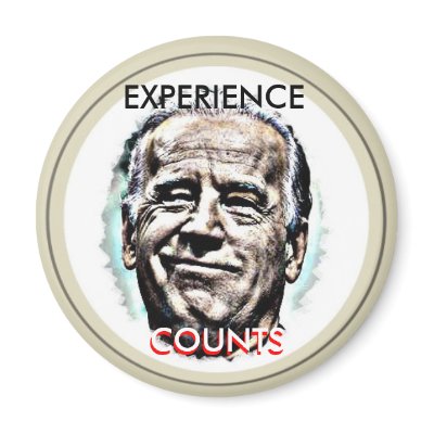Joe Biden Magnet by elfyboy