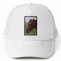 Joe Bubbles Hat by EquineGal Joe Bubbles Hat