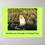 Joe Schneider of Hairball Alley Poster