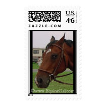 JoeB Postage postage
