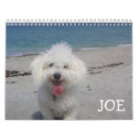 Joe's Calendar