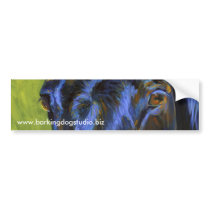 Joe's Eyes bumper stickers by dmelka Joe's Eyes bumper stickers