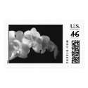 joe's orchid postage