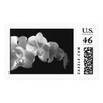 joe's orchid postage