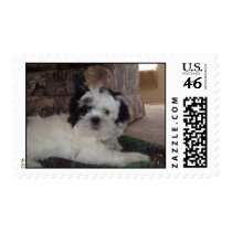Joey Lee postage