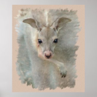 Joey - Pastels