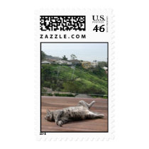Joey postage