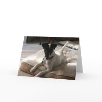 "Joey" Smooth Fox Terrier Dog Photo Greeting Card