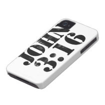 John 3:16 casemate cases