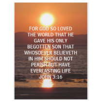 john 3 16 personalized flyer
