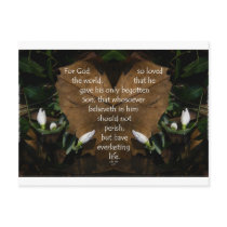 john 3:16 king james on heart leaf postcards