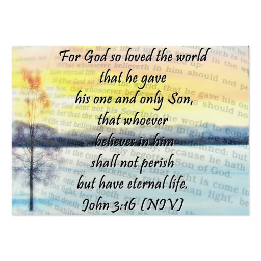 John 3:16 sharing Card Business Card Template (front side)