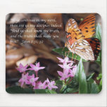 John 8 Gulf Fritillary Butterfly John 8 Gulf Fritillary Butterfly