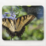 John 8 Yellow Swallowtail Butterfly John 8 Yellow Swallowtail Butterfly