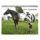 JOHN AND MARIE CRAIG'S FAMILY APPALOOSAS CALENDARS