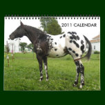 JOHN AND MARIE CRAIG'S FAMILY APPALOOSAS calendars