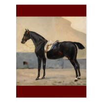 John Arsenius-Häst Portrait postcards