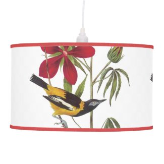 John Audubon Birds of America Troupial Lamp