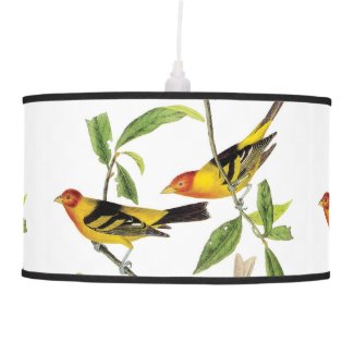 John Audubon Birds of America Yellow Tanager Lamp