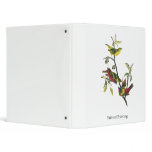 John Audubon Painted Bunting Print Vinyl Binders