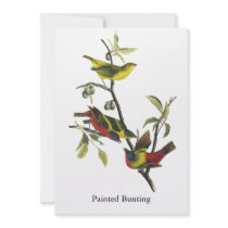 John Audubon Painted Bunting Print Personalized Invite