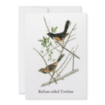John Audubon Rufous-sided Towhee Personalized Invitations