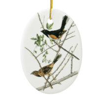 John Audubon Rufous-sided Towhee Ornament