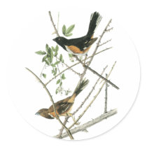 John Audubon Rufous-sided Towhee Sticker