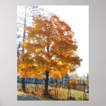 John Brown Farm Historic Adirondack Autumn Grave Posters