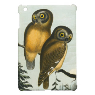 John Cassin California Owl iPad Mini Case