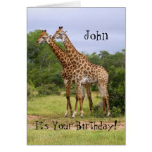 John "Go Wild" Happy Birthday Giraffes Card