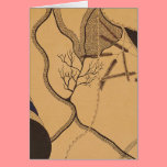 John Haughton Card 8 cards