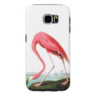 John James Audubon American Flamingo Vintage Art Samsung Galaxy S6 Cases
