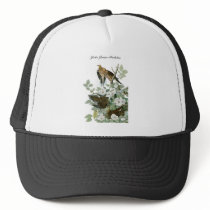 John James Audubon Carolina Pigeon Mourning Dove 1 Trucker Hats