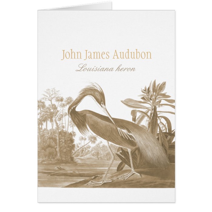 John James Audubon Lousiana heron CC0750 Bird Greeting Card