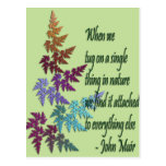 john muir - postcard