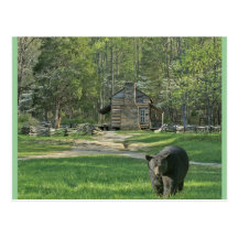John Oliver Cabin Postcard