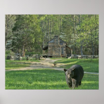 John Oliver Cabin Posters